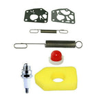 Spark Plug Kit for Sprint & Classic Motors (691859, 692211)
