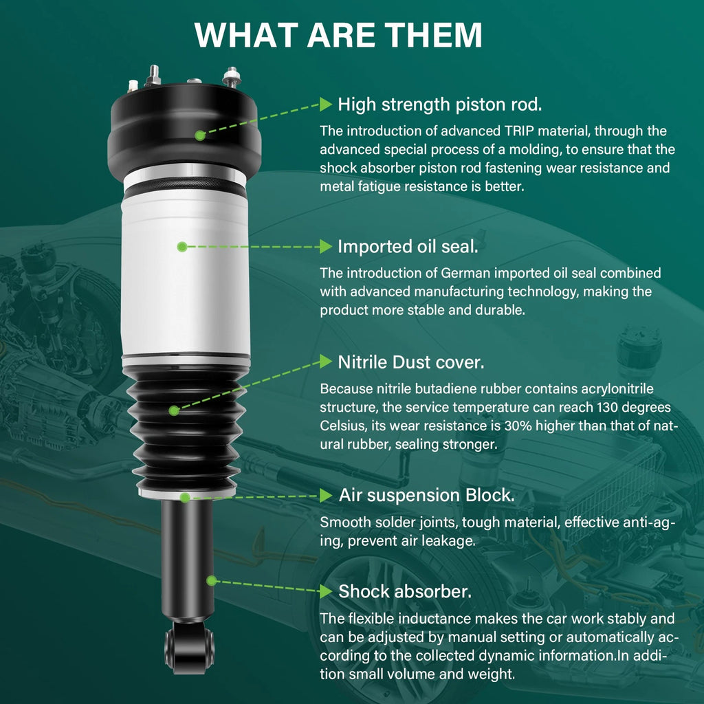 Rear Air Suspension Spring & Strut Assembly for Jaguar XJ (1995–2009)