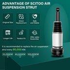 Rear Air Suspension Spring & Strut Assembly for Jaguar XJ (1995–2009)
