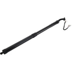 Liftgate Lift Supports for Honda Pilot (2016–2022)
