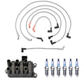 Denso Ignition Coil Wire Set & 6 Iridium Spark Plugs for Ford F-150