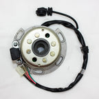Magneto Stator Plate for Lifan W150 150cc Pit Pro Dirt Bike (2010–2023)