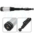 Rear Air Suspension Spring Strut for Mercedes-Benz S430 S320 S420 S500 (1999–2006)