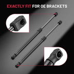 Rear Hatch Tailgate Lift Support Gas Shocks for Mini Cooper (2002-2014)