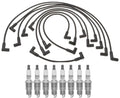 Pro Ignition Wire Set & 8 ACDelco Platinum Spark Plugs for P20 P25