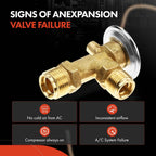 A/C Expansion Valve for Chevy Express 1500 2500 3500 (1992-1995)