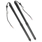 2X Rear Lift Support Gas Struts for Lexus RX350 RX450 (2016–2019)