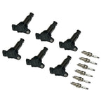 Set of 6 Ignition Coils & Spark Plugs for Hyundai Santa Fe (2007–2009)