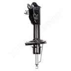 Set of 2 Front Shocks Struts for Honda Civic (2006–2011)