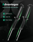 Front Pair Shocks Struts for Cadillac CTS (2003–2007) 6.0L V8 3.2L 3.6L V6