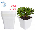 Set of 5 Plastic Nursery Grow Pots for Bonsai Plants