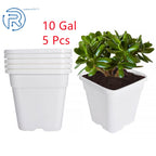 Set of 5 Plastic Nursery Grow Pots for Bonsai Plants