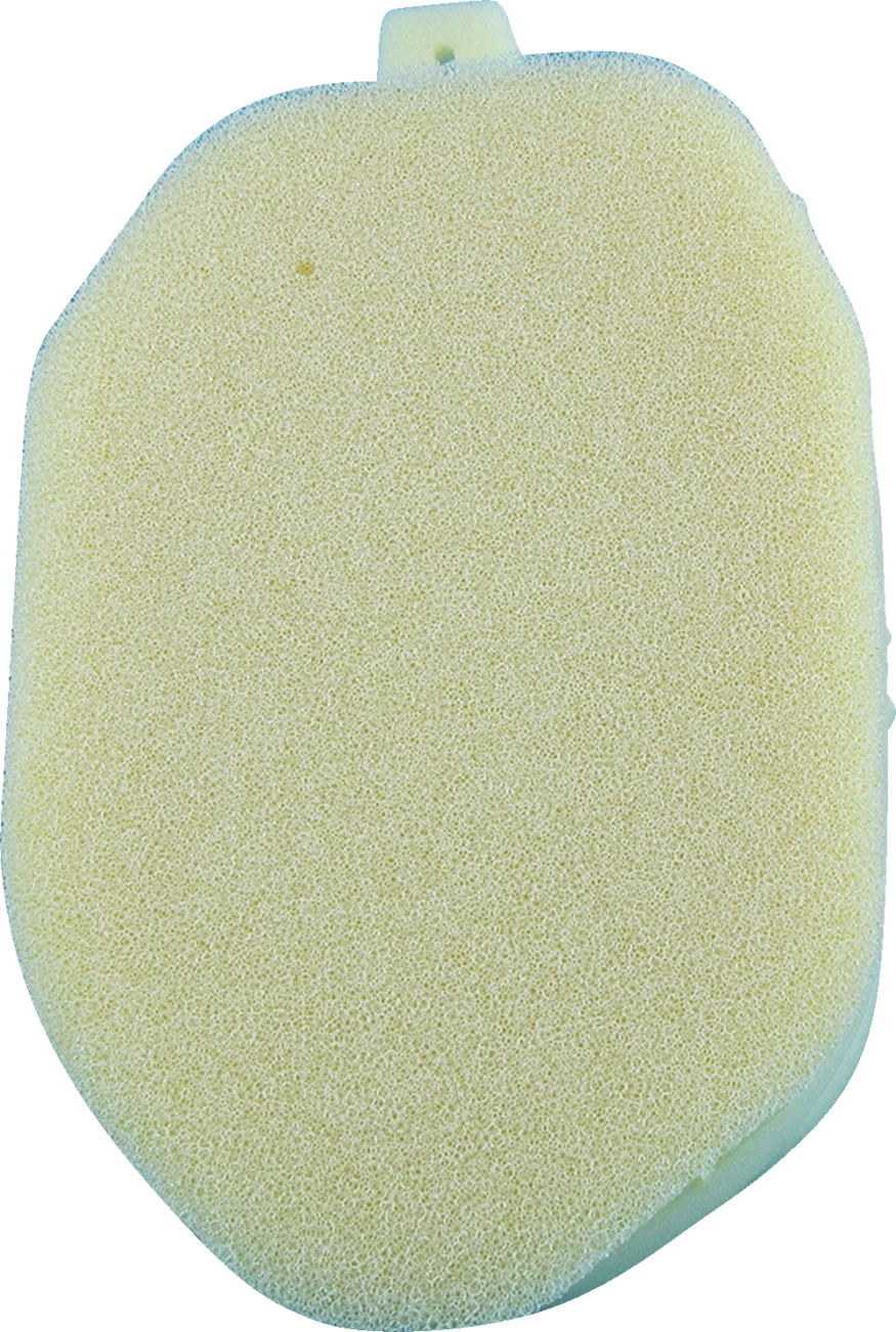Foam Air Filter for Kawasaki 140-51 (No Toil)