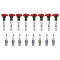 Set of 8 Ignition Coils & NGK Spark Plugs for Audi Volkswagen 4.2L V8