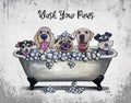 Wash Your Paws Tin Sign Decor #2563 for Home Wall Hanging
