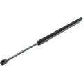 Trunk Lid Lift Supports for Chevy Olds GMC (Driver or Passenger Side)