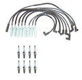 Denso Wire Set & 8 Platinum TT Spark Plugs Kit for Dodge 5.9 V8 (1994–2003)