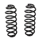2X Rear Coil Springs for Volkswagen Passat, Tiguan (2006–2019)