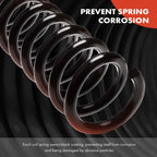 2X Front Coil Springs for Chevrolet Camaro (1967–1969) Olds Omega (1973–1974)