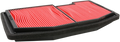 HIFLOFILTRO Air Filter for Triumph (HFA6502)