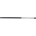 Lift Support for Lincoln MKS (2009–2012) Driver & Passenger Side