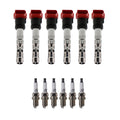 Set of 6 Ignition Coils & Spark Plugs for Audi A4 A6 Quattro (2000–2006)