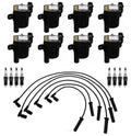 Set of 8 Ignition Wires & 8 Spark Plugs for Buick Chevy GMC V8