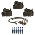 Ignition Wires & Coils Set of 3 with 6 Spark Plugs for Chevy Oldsmobile Buick (3.8L)