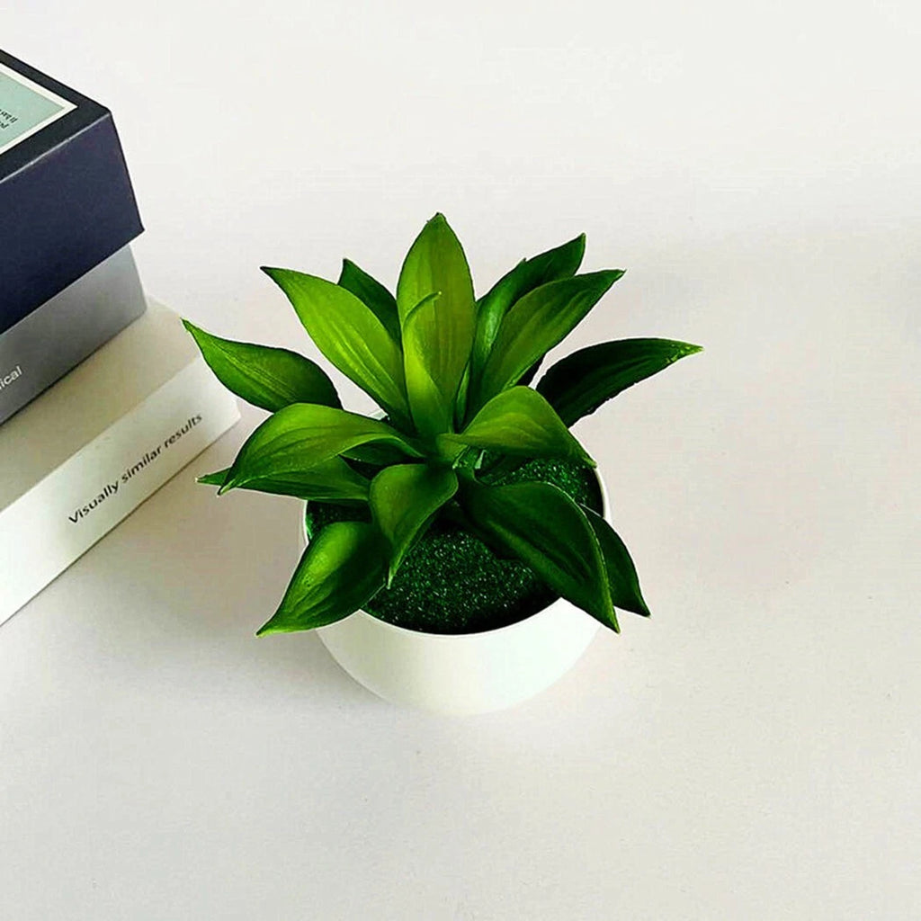 2X Potted Succulents for Home Decor (Artificial Plants in Pots)