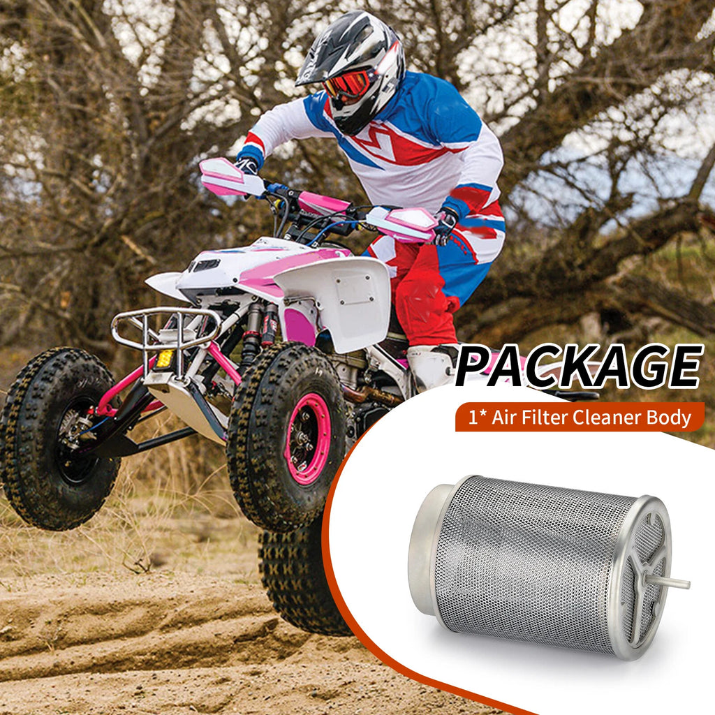 Air Filter Cage for Honda TRX450R (2004–2005) 17211-HP1-000