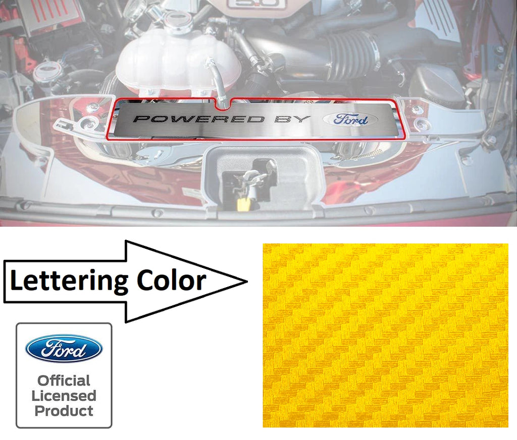 Radiator Cover Plate Replacement for Ford Mustang GT (2015–2017)
