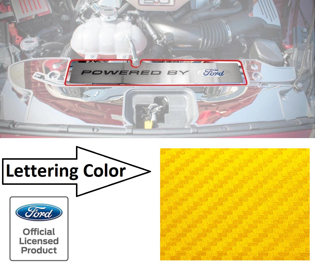 Radiator Cover Plate Replacement for Ford Mustang GT (2015–2017)