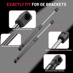 2PCS Front Hood Lift Supports Shocks for Hyundai Santa Fe (2013–2018)