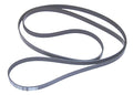 Belt for Sierra