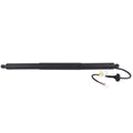 Rear Left Tailgate Lift Supports Struts for Tesla Model Y (2020–2023)