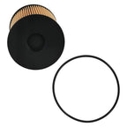 Fuel Filter for Blue Bird Dodge Ford (1997–2016) 68001914AA FS19856 4935205