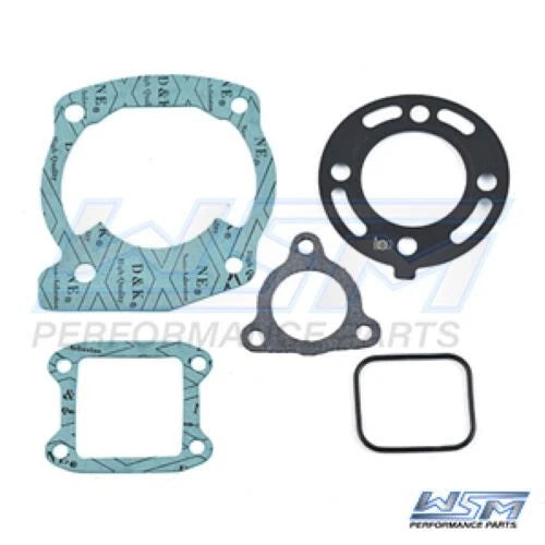 Gasket Kit for WSM