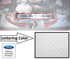 Stainless Radiator Cover Plate Replacement for 2015-2017 Ford Mustang GT