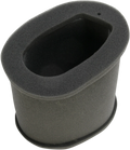 HIFLOFILTRO Air Filter for Kawasaki (HFA2202)