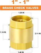 Brass Check Valve for Hydraulic Backflow Control (12 Inch Vertical Lift)
