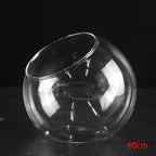 Set of 4 Succulent Tabletop Terrarium Balls (8/10/12cm)