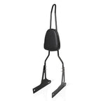 Detachable Backrest Sissy Bar for Harley Davidson Dyna (2006–2017)