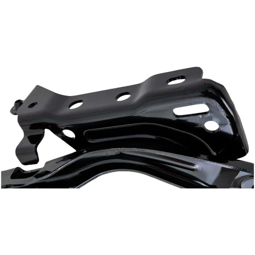 Set of 2 Hood Hinges for F150 Truck (Driver & Passenger Side)