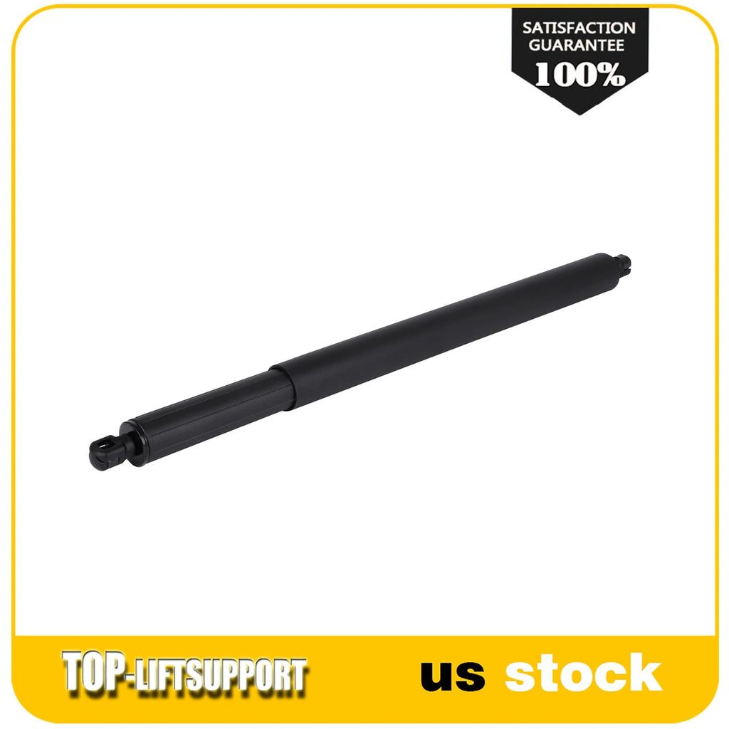 Liftgate Strut for BMW X6 E71 (2007–2014)