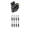 Set of 8 Hitachi Ignition Coils & Denso Iridium Spark Plugs for F-150 Mustang