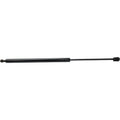 Lift Support for Hyundai Tiburon (2003–2007)