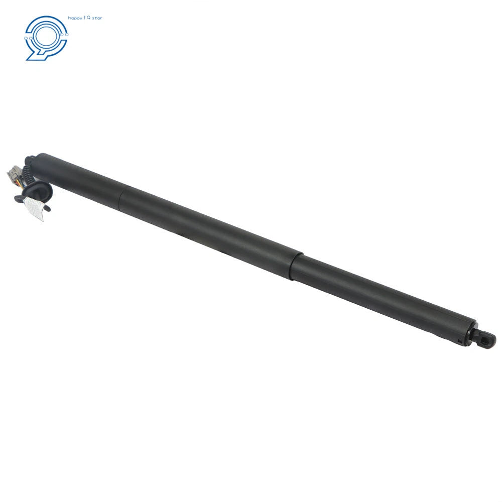Set of 2 Rear Tailgate Lift Support Struts for Ford Escape (2013-2019)