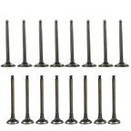 Exhaust and Intake Valves for Hyundai Accent Kia Rio (1996–2011)