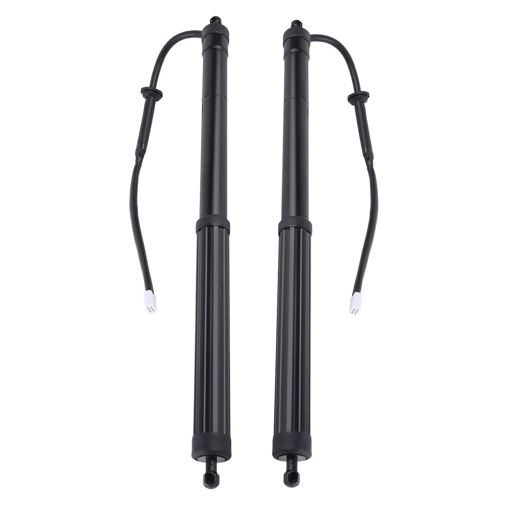 2X Rear Tailgate Lift Supports for Toyota RAV4 (2019-2022)