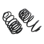 Rear Coil Spring Kit for Chevrolet Monte Carlo Pontiac Grand Prix (1995–2005)